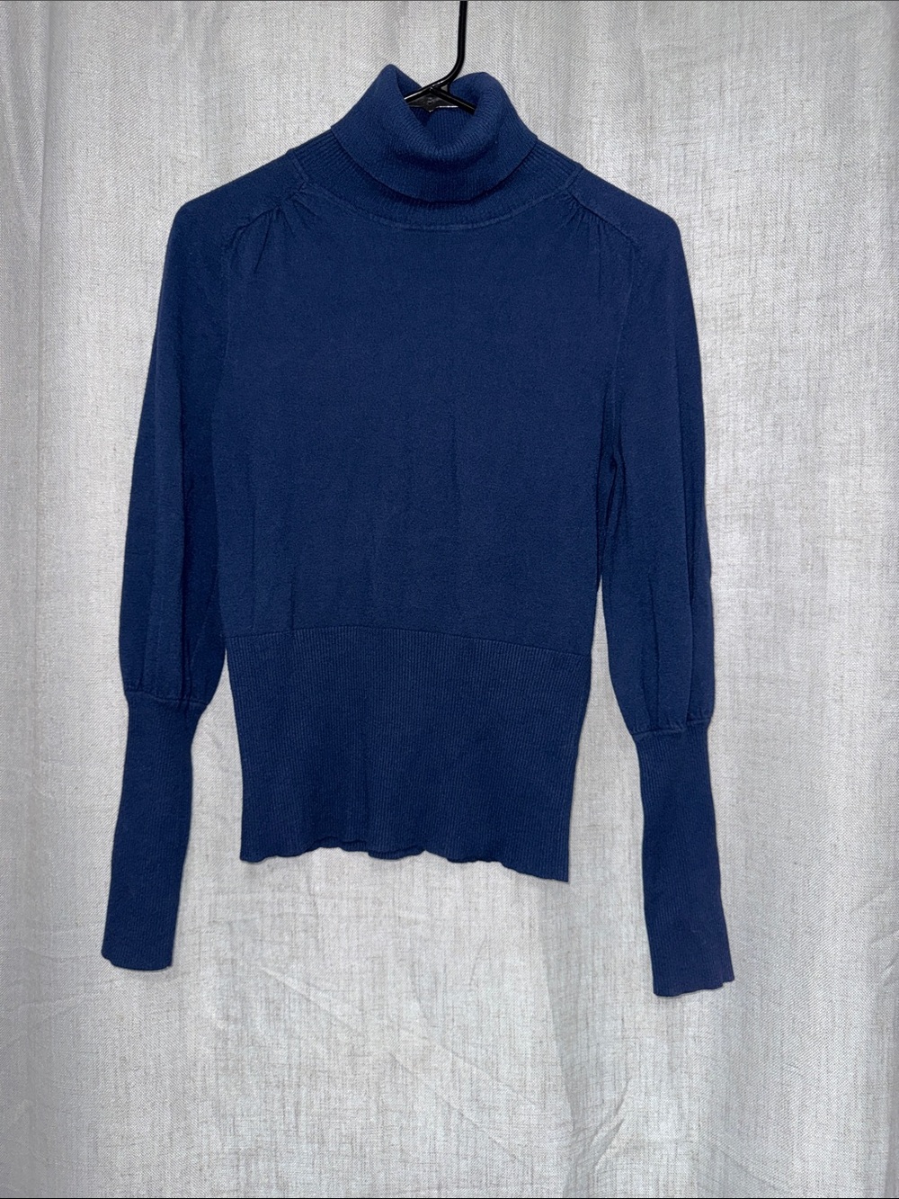 The Limited Navy Ribbed Turtleneck Sweater